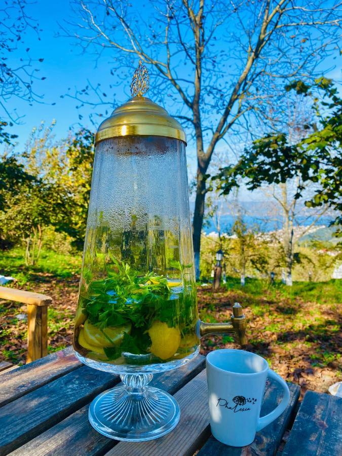 Phalesia Glamping Otel Сапанджа Екстер'єр фото