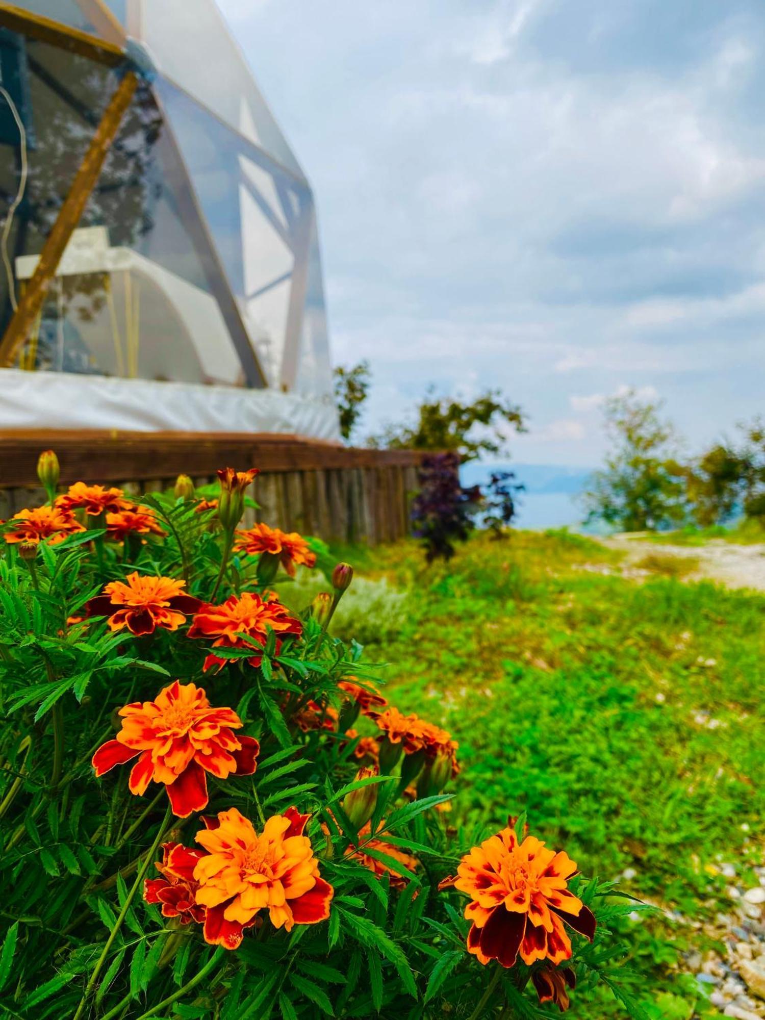 Phalesia Glamping Otel Сапанджа Екстер'єр фото