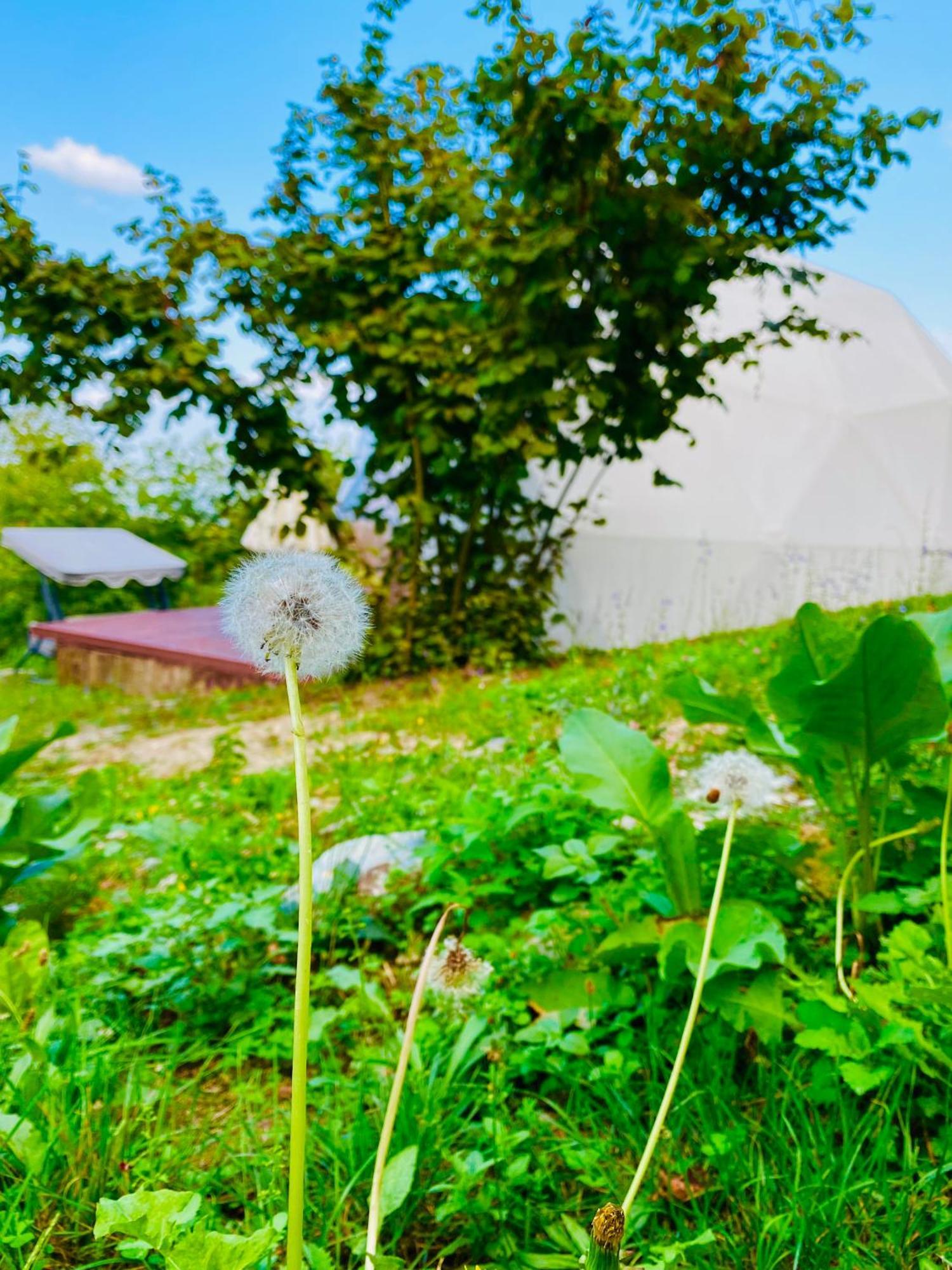 Phalesia Glamping Otel Сапанджа Екстер'єр фото